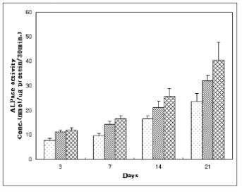 분화된 cell의 ALPase activity 실험 (3,7,14,21일) 아무 처리 하지 않은 PLLA 지지체에 hASC를 증식한 군(▒), Vit D를 로딩한PLLA 지지체에 증식한 군(▧), GDF-5와 Vit D를 로딩한 PLLA지지체에 증식한군(▩) (n=4)