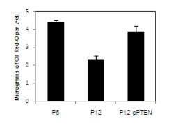 microgram of Oil Red-O per well