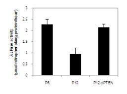 ALPase activity (µmol nitrophenol/mg protein/hour)