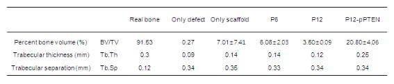 Healing 4주 후의 calvarial defect의 골 형성과 structural parameter