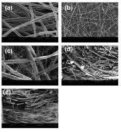 제작한 나노섬유와 마이크로섬유 매트릭스의 SEM사진.