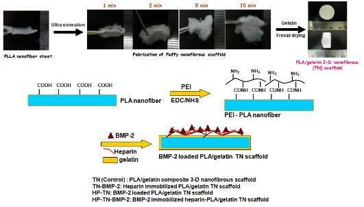 BMP-2가 탑재된 PLA/gelatin 나노섬유/micro-pore 복합 지지체 제작 모식도