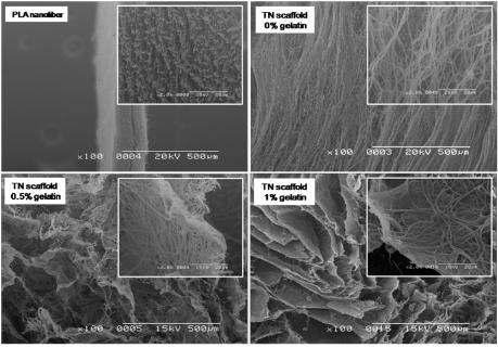Gelatin의 농도에 따른 PLA/gelatin 나노섬유/micro-porous 복합 지지체의 단면의 SEM 이미지