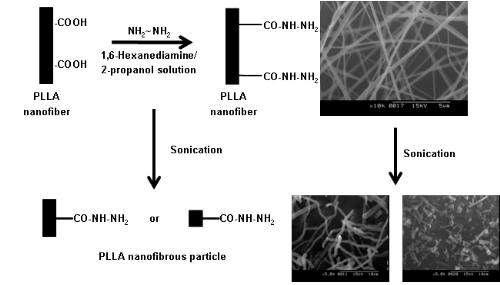 PLLA nanofiber의 aminolysis를 이용한 particle 제작 모식도