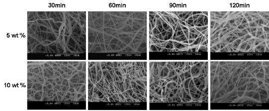 PLLA nanofiber의 시간과 농도에 따른 aminolysis처리 후의 SEM 이미지