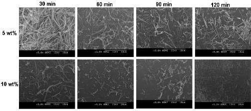 시간과 농도에 따른 aminolysis처리한 PLLA nanofiber의 sonication (30min) 후의 SEM 이미지