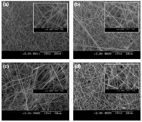 PLLA nanofiber 지지체의 SEM image.