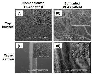 Ultra-sonication 방법을 이용하여 제작한 3차원 나노섬유 지지체의 표면 및 단면의 SEM 이미지.