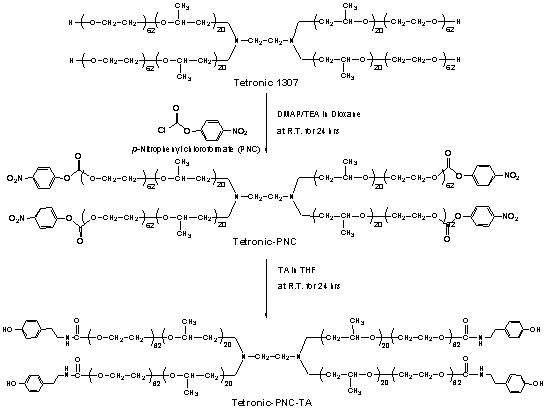 TPTA conjugates의 합성 모식도