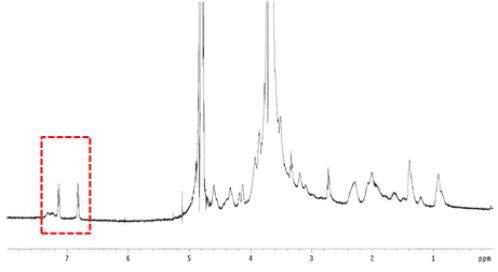 젤라틴 유도체의 1H NMR 스펙트럼