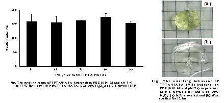 TPTA/HA-TA 하이드로젤의 함수율 측정