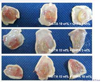 TPTA/GHPA 하이드로젤의 체내 안정성 및 신생혈관 생성