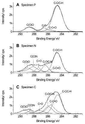 순수한 폴리카프로락톤 (specimen P), 아민기를 포함한 나노복합체 specimen N) 및 카르복실기를 포함하는 나노복합체 (speicmen C)의 highresolution 표면 XPS 분석결과.