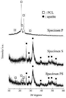 (a) 순수한 폴리카프로락톤 부직포, (b) 순수한 칼슘실리케이트 부직포, (c) 폴리카프로락톤/칼슘실리케이트 융합형 부직포를 의사체액 중에 일주일 간 침적 후의 박막 XRD 측정결과