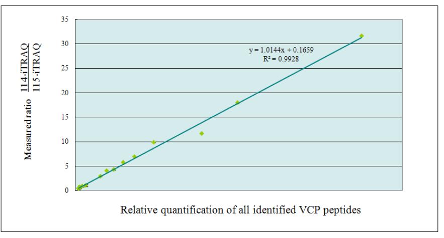 ER-stress 조건에서 VCP와 상호 작용하는 단백질 정량적 분석