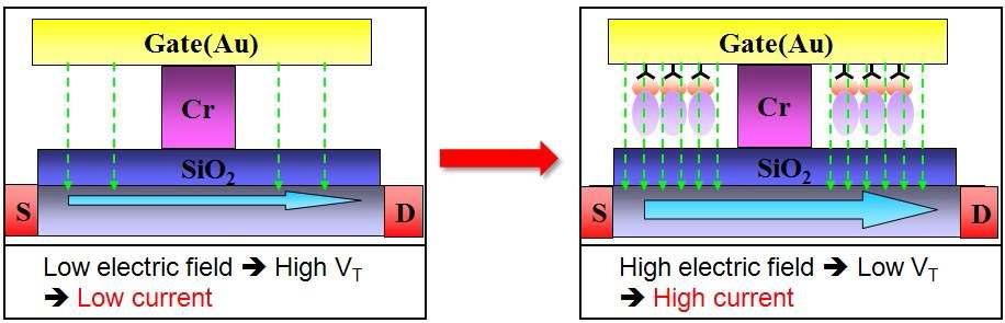Planar nanogap FET의 구조 및 동작 원리