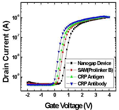 Planar nanogap FET를 이용한 100µg/ml의 CRP 검출 실험