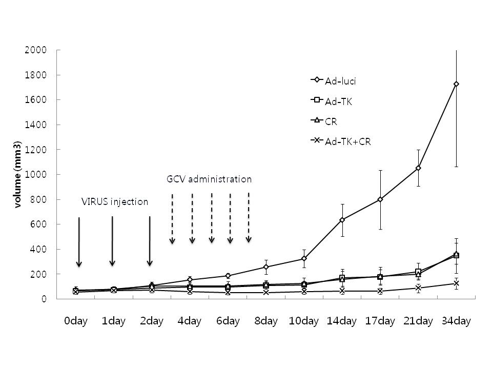 Enhanced in vivo tumor suppression by combining 24RGD.