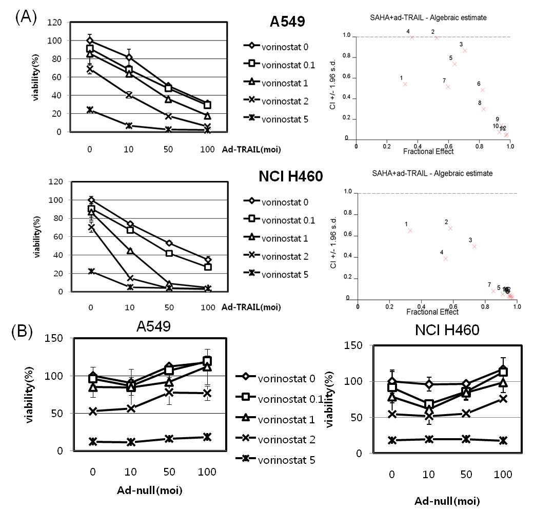 (A) Synergistic interaction of vorinostat and ad-TRAIL on lung cancer cytotoxicity. (B) No interaction of vorinostat and ad-null on lung cancer cytotoxicity.