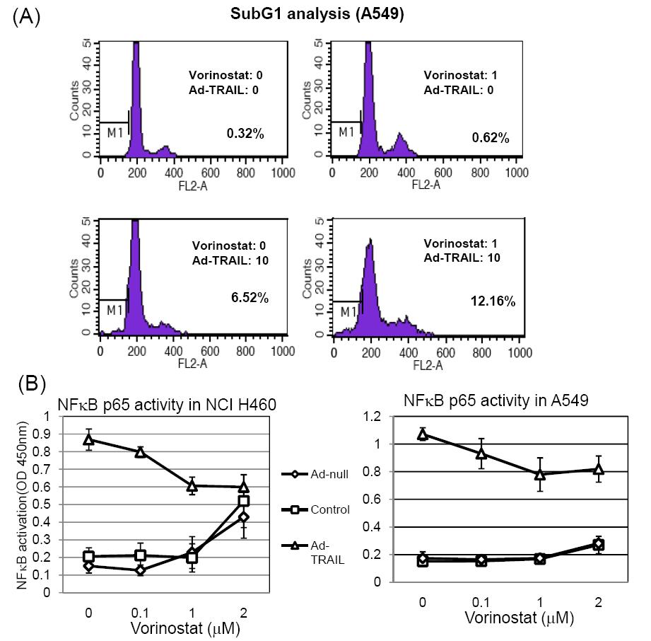 (A) Enhanced apoptosis by combination of vorinostat and ad-TRAIL. (B) Blockade of NF-κB activation by combination of vorinostat and ad-TRAIL.