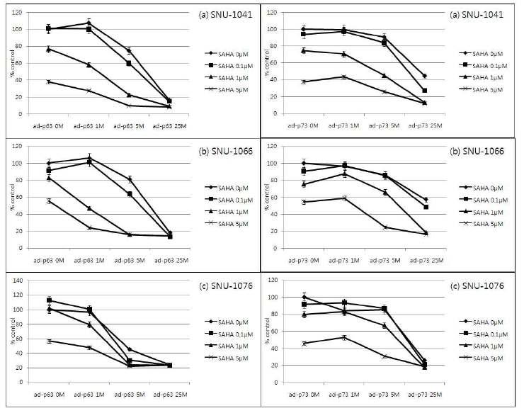 Cytotoxicity was measured by MTT assay.