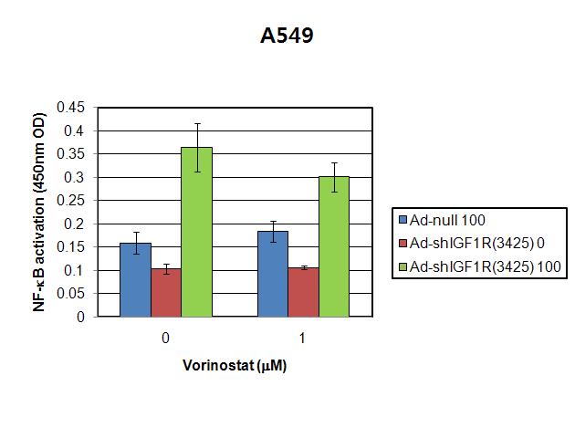 Addition of vorinostat suppressed NF-κB activation induced by ad-shIGF-1R.