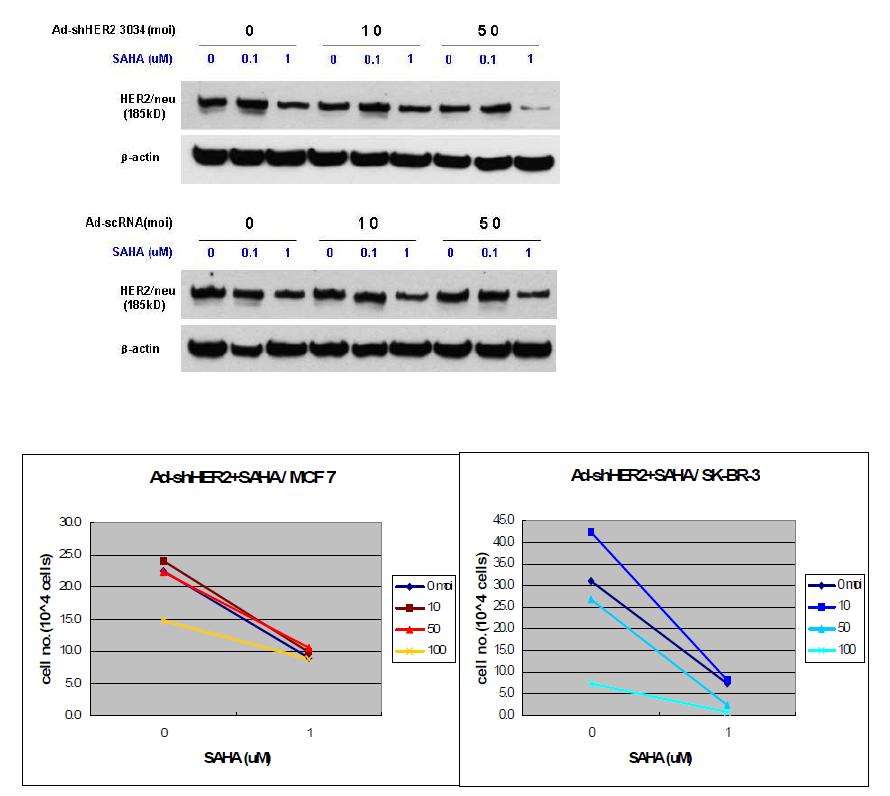 Combination of ad-shHER2/neu and vorinostat enhanced ad-shHRE2 induced HER2 suppression