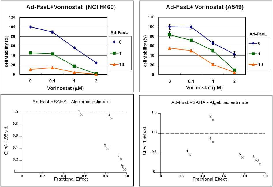 Synergistic cytotoxicity of ad-FasL and vorinostat on lung cancer cell lines