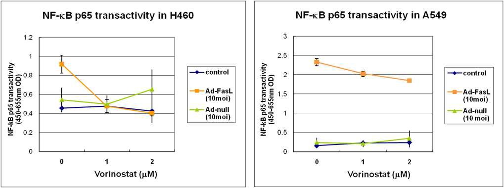 Addition of vorinostat suppressed NF-κB activation induced by ad-FasL