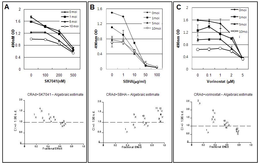 No or antagonistic drug interaction of HDAC inhibitors with CRAd.