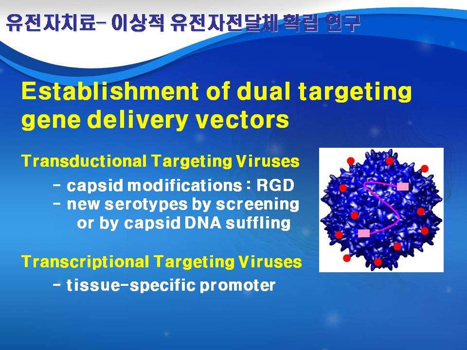 Establishment of dual targeting gene delivery vectors