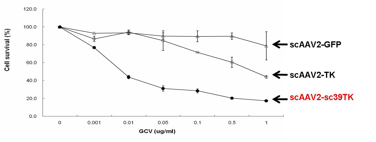 Cytotoxicity induced by GCV under the expression of TK