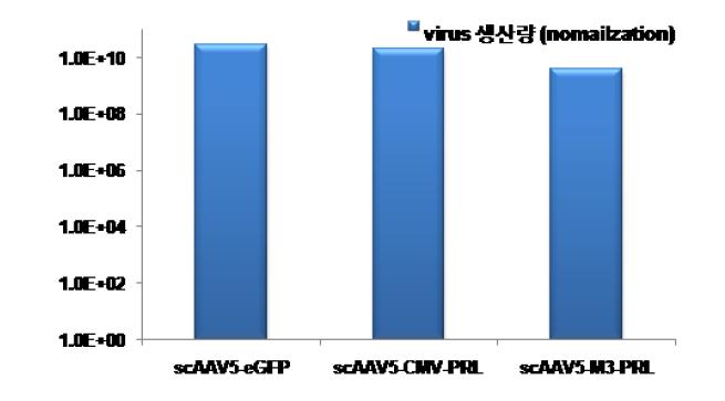 pM3-PRL 삽입 rAAV5 virus의 virus 생산량