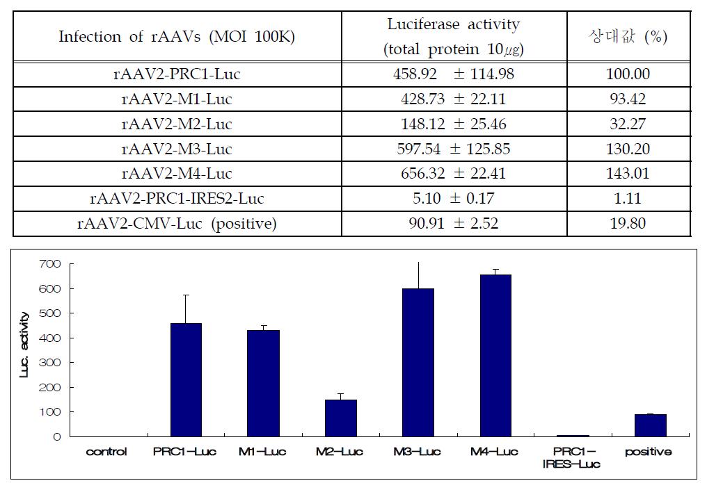 Promoter activities of rA A V2-Luc vectors containing PRC1 and its deleted mutants