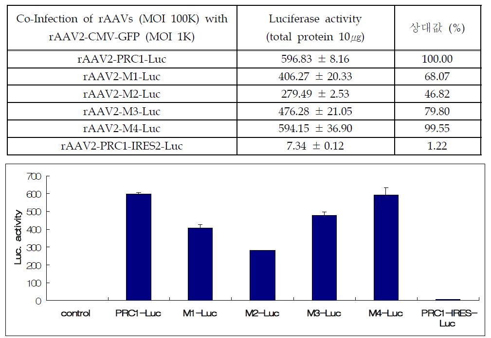 Promoter activities of rAAV2-Luc vectors containing PRC1 and its deleted mutants