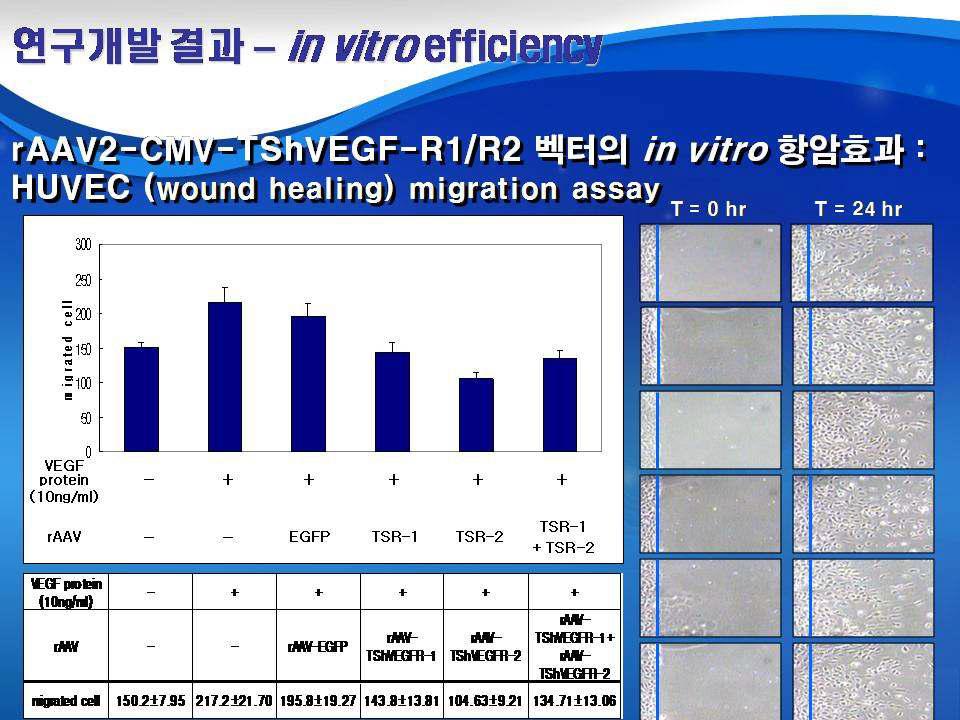 In vitro efficacy of rAAV2-CMV-TShVEGF-R1/R2 vectors by suppression of HUVE cell migration