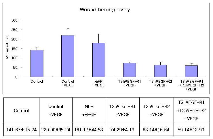 In vitro efficacy of rAAV2-PRC1-TShVEGF-R1/R2 vectors by suppression of HUVE cell migration