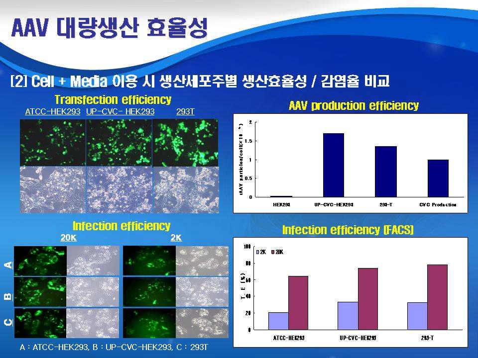 Production and infection efficiencies of rAAV2-CMV-GFP vectors from HEK 293, 293T and UP-CVC-HEK 293 producing cell lines