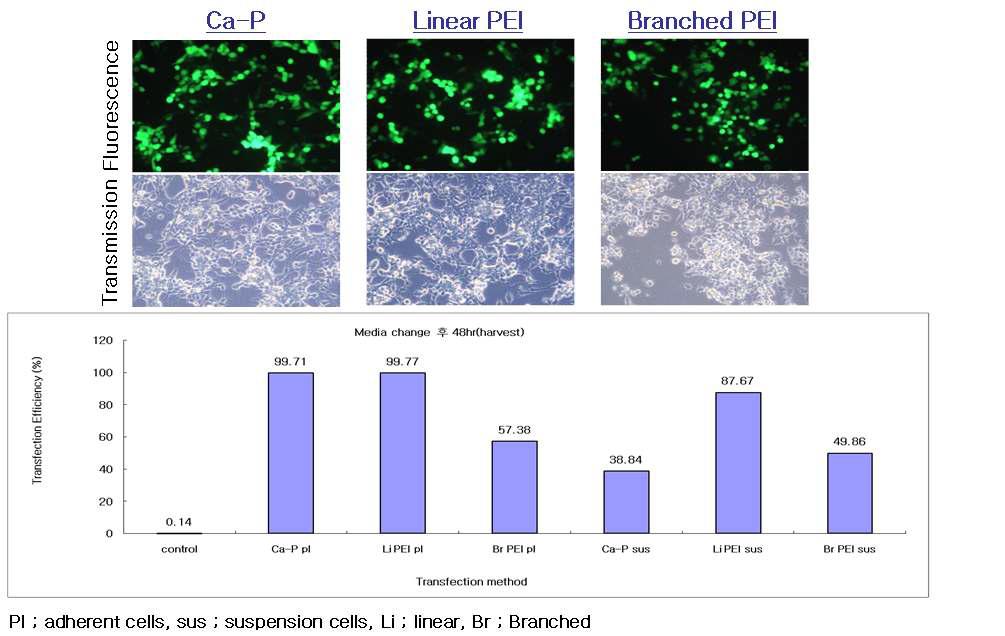 Production efficiencies of rAAV2-CMV-GFP vectors from 293T cells