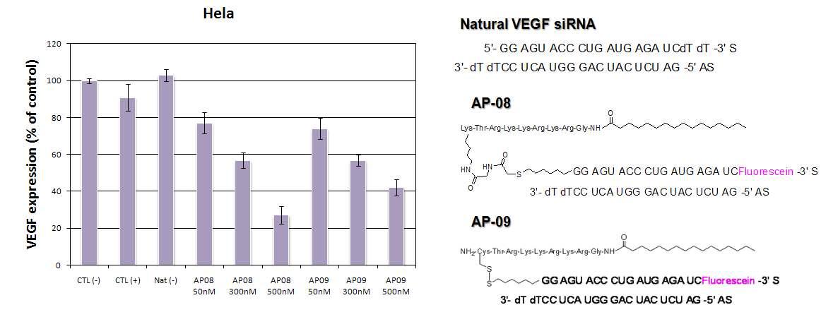 VEGF expression of siRNAs.