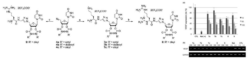 Synthesis of nucleoside-based cationic lipoplexs.