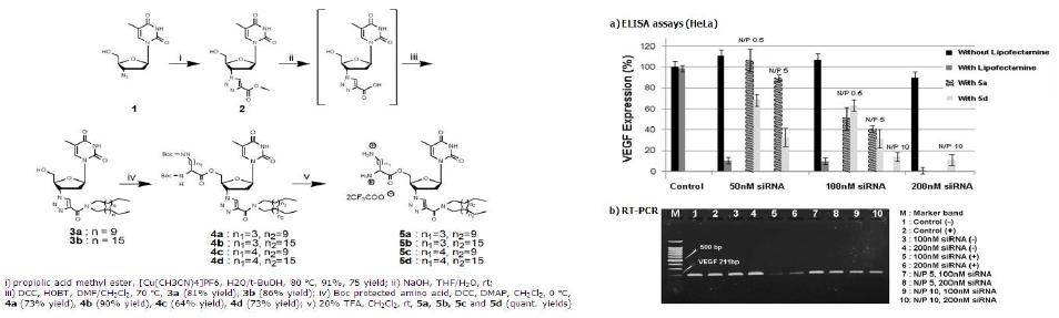 Synthesis of AZT-based nucleoside cationic lipoplexs.