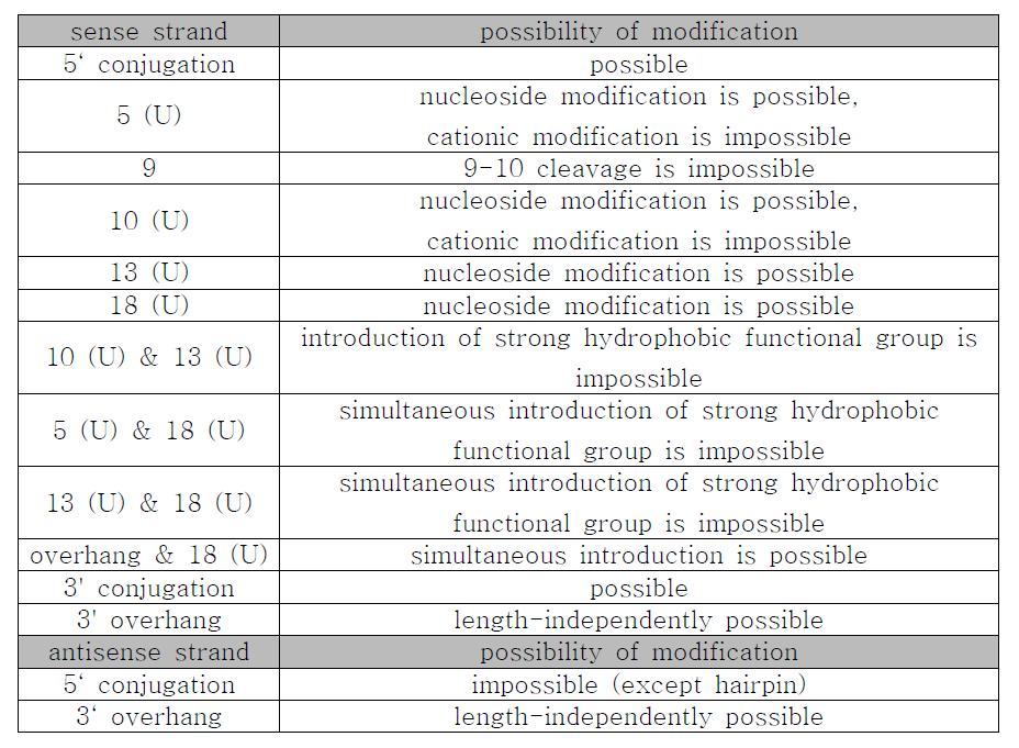 Infomation of VEGF siRNA modification