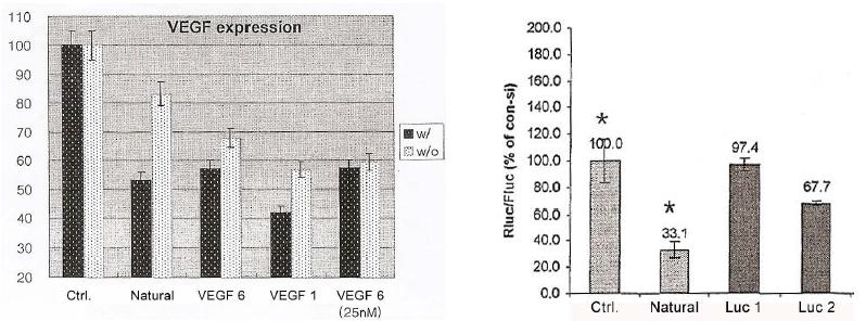 siRNA 효율 테스트 (좌: 100nM, 24h incubation, HeLa cell; 우: 100nM, 24h incubation, HEK293T cell, * 표는 oligofectamine과 함께 처리)