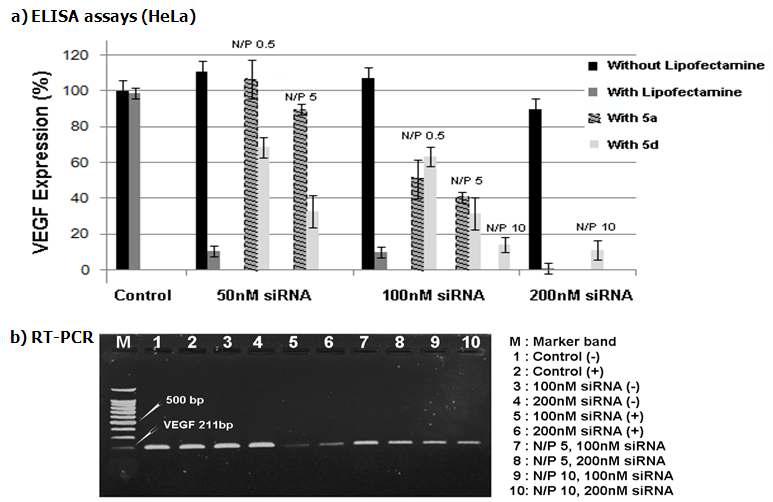 a) VEGF의 상대적인 발현 양을 나타냄, b) 5d에 대하여 VEGF mRNA의 상대적인 양을 나타냄