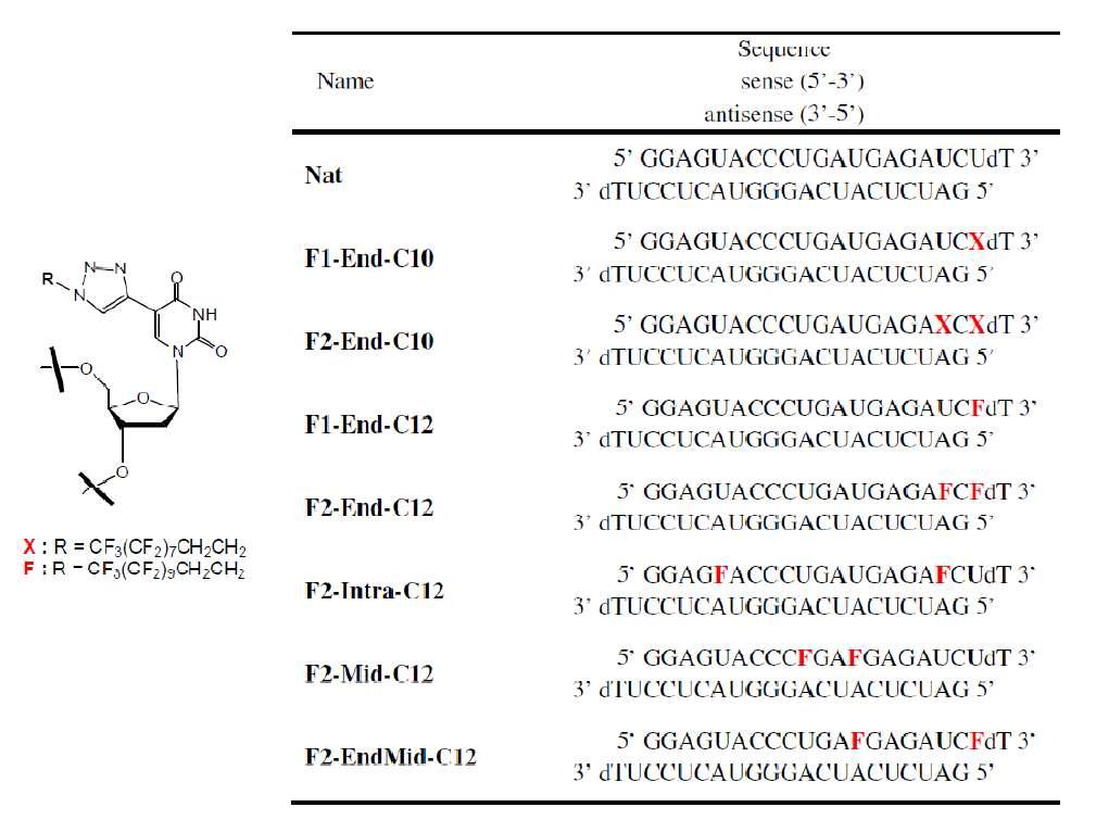 과불화 탄소 사슬을 가지는 단위체 및 이를 도입한 siRNA의 합성먼저 센스의 5‘ 부분에 하나 및 두 개를 변형한 경우를 비교해 보고자 하였다.