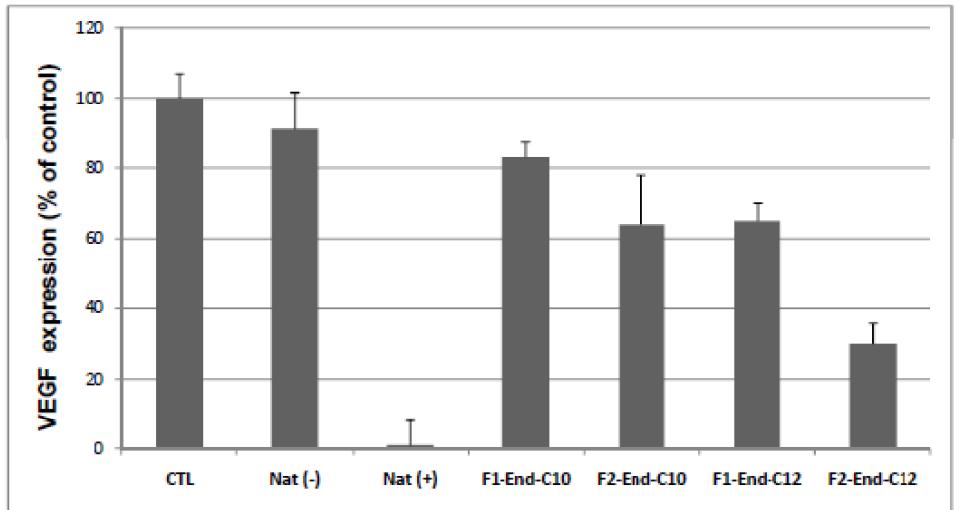 siRNA 효능 테스트. Nat; Natural siRNA (-/+) lipofectamine