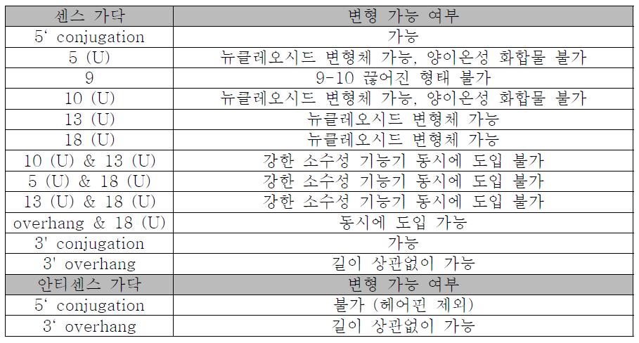 VEGF siRNA의 변형에 대한 정보