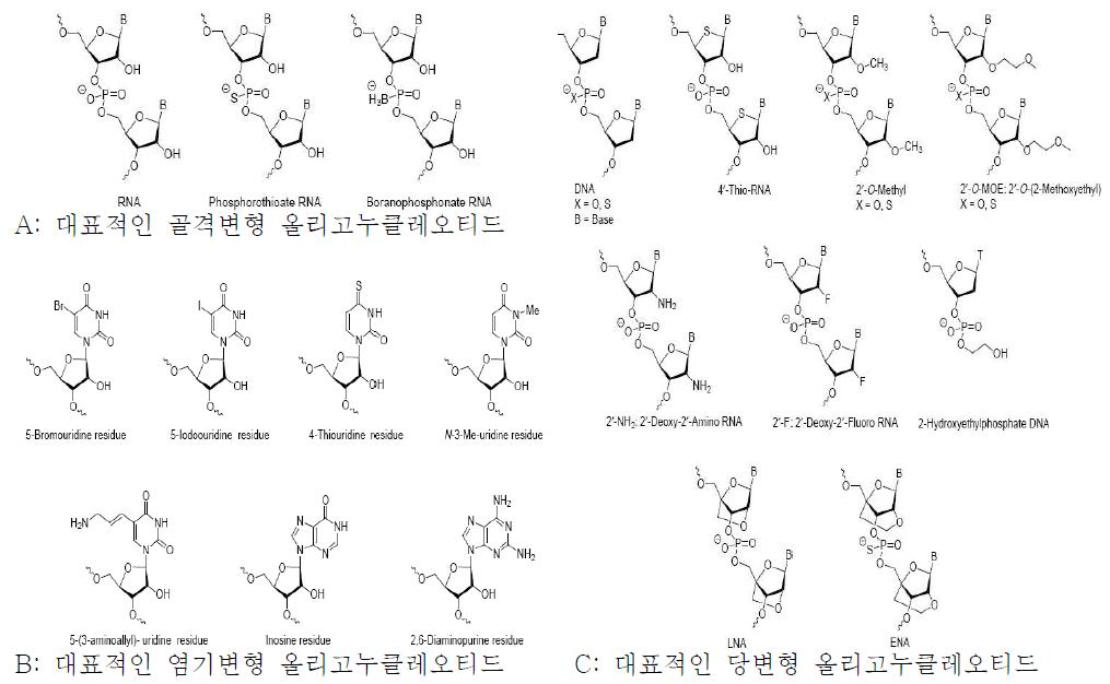 대표적인 변형 올리고누클레오티드