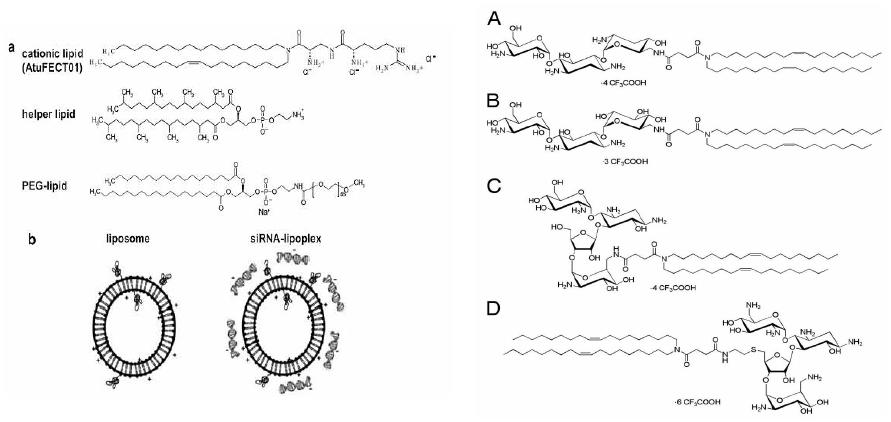 siRNA의 전달에 사용된 lipid 화합물의 구조